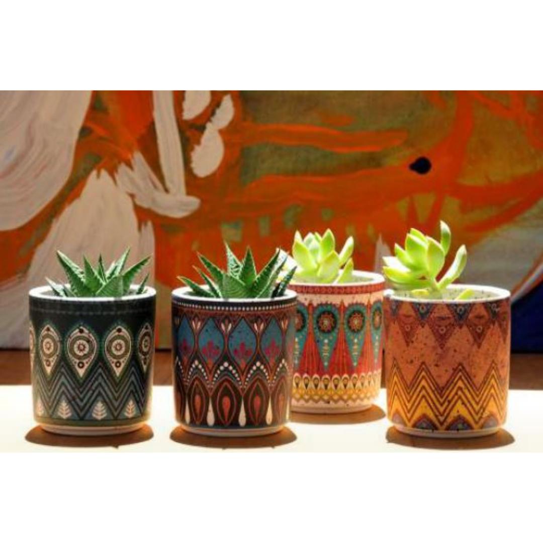 Maceta cactus Egas 1 ø8 x 9 cm - Imagen 2