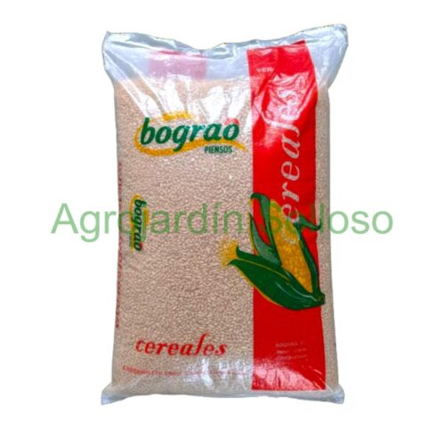 Trigo grano 10 kg