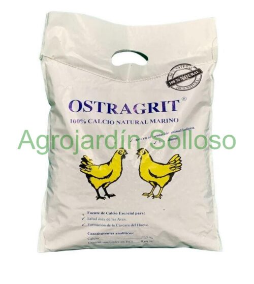 Conchilla de Ostra natural 5 Kg