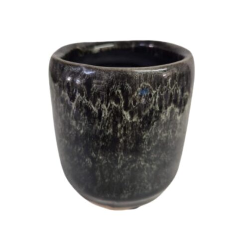 Maceta cactus Escolo negro ø8 x 9 cm