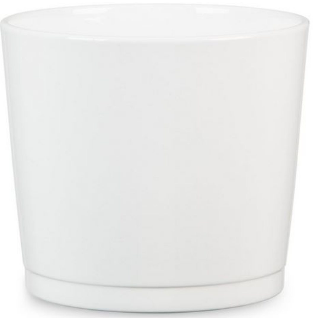 Maceta Alaska blanca