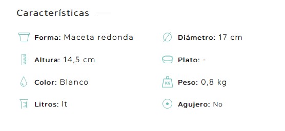 Maceta Alaska blanca - Imagen 3