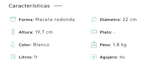 Maceta Alaska blanca - Imagen 4