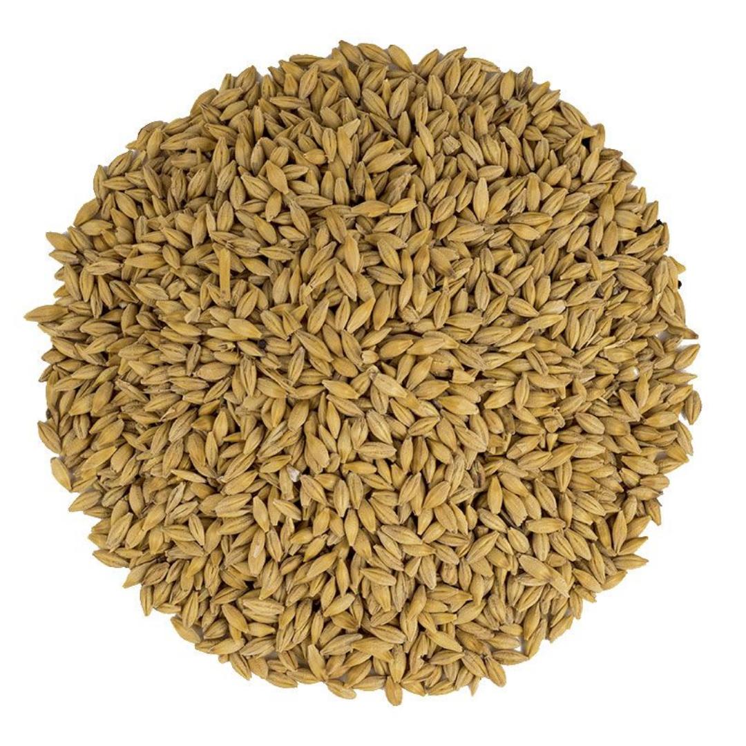 Trigo grano 10 kg - Imagen 2