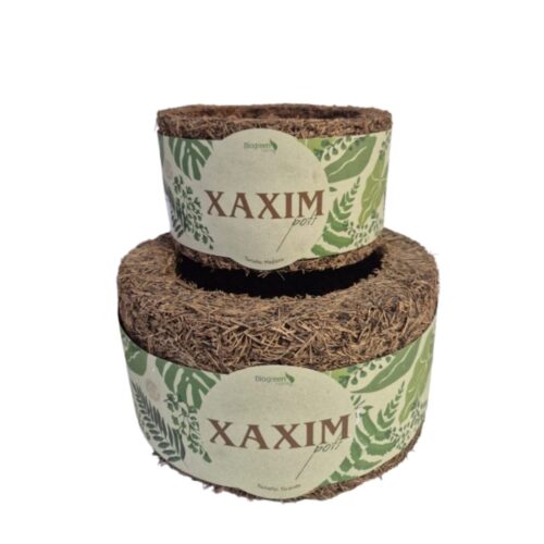 Maceta Xaxim mediana