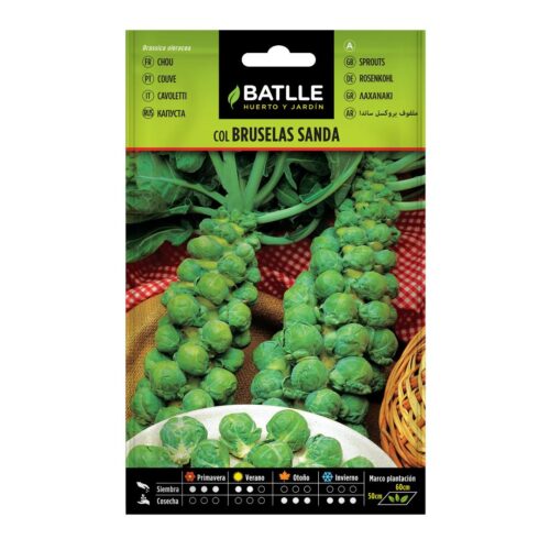 Semillas de Col de Bruselas Sanda
