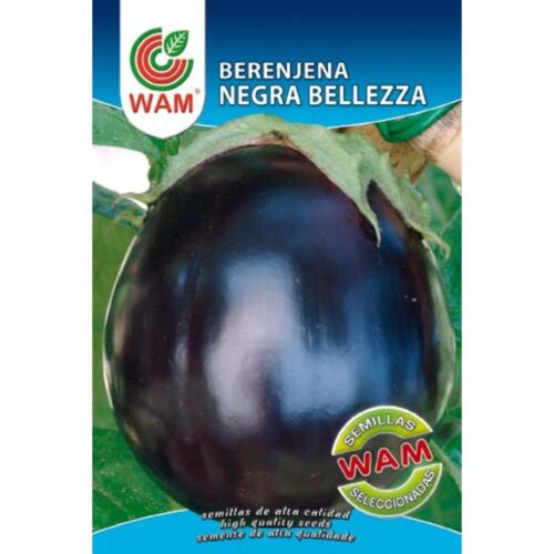 Semillas de Berenjena Negra Belleza