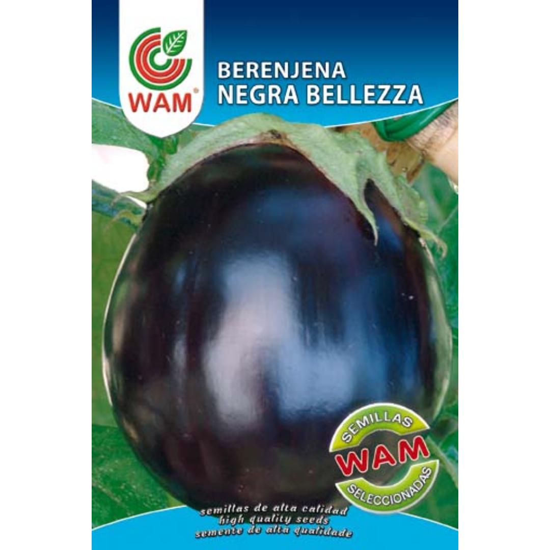 Semillas de Berenjena Negra Belleza