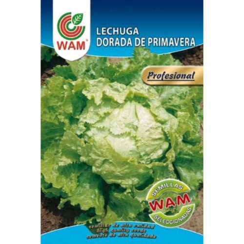 Semillas de Lechuga Dorada de Primavera