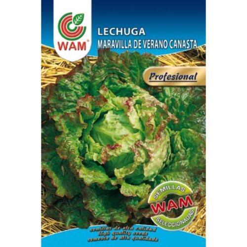 Semillas de Lechuga Maravilla de Verano Canasta