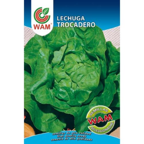 Semillas de Lechuga Trocadero