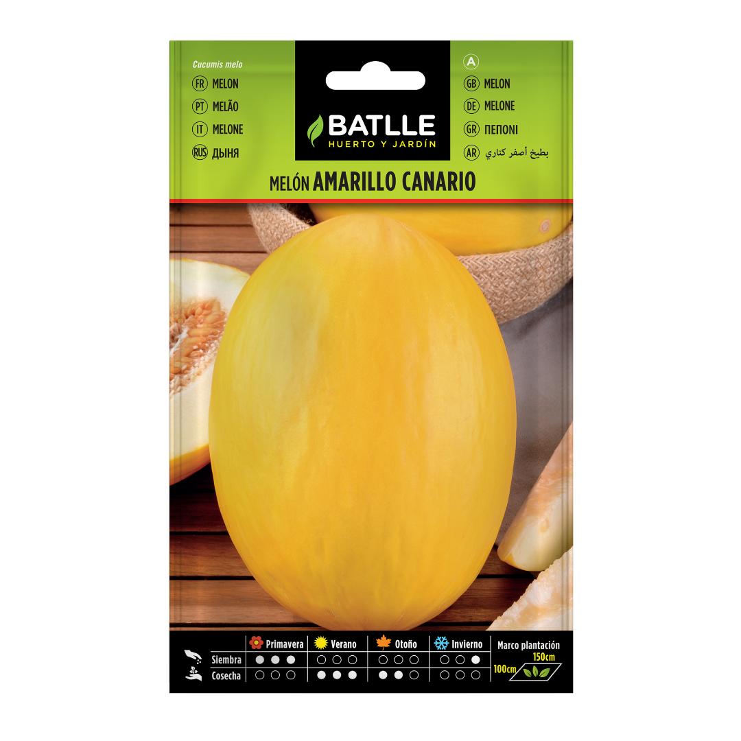 Semillas de Melón amarillo canario