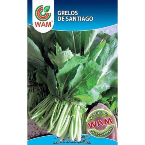 Semillas de Grelos de Santiago 100 g