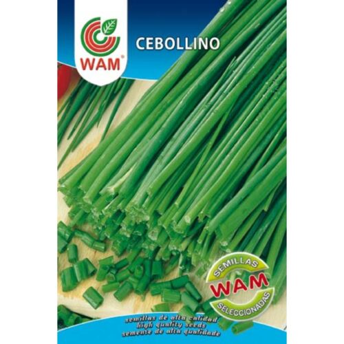 Semillas de Cebollino