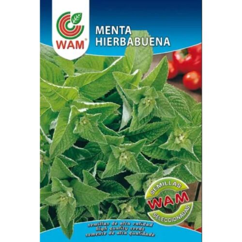 Semillas de Menta Hierbabuena