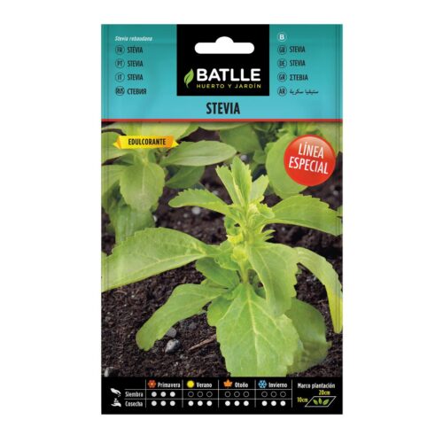 Semillas de Stevia