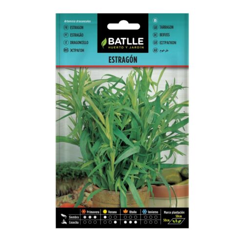 Semillas de Estragón