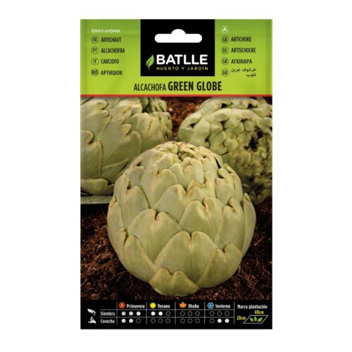 Semillas de Alcachofa Green Globe