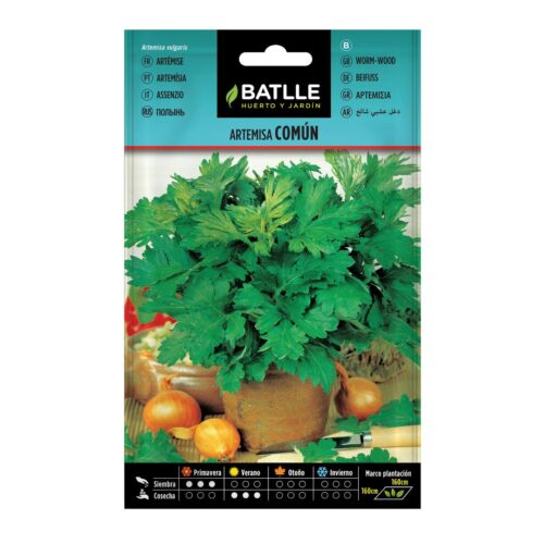 Semillas de Artemisa común
