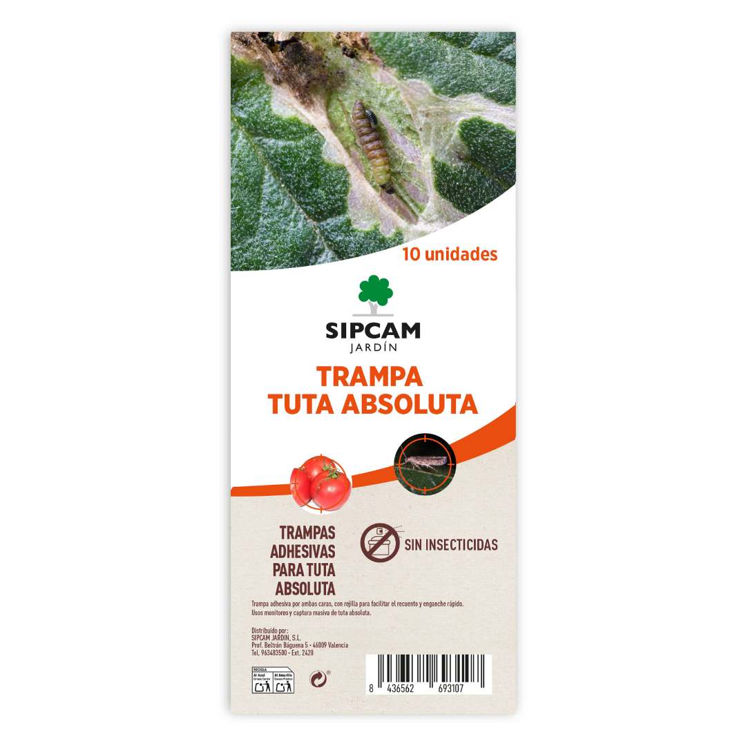 Trampa cromática negra Tuta Absoluta 10 ud