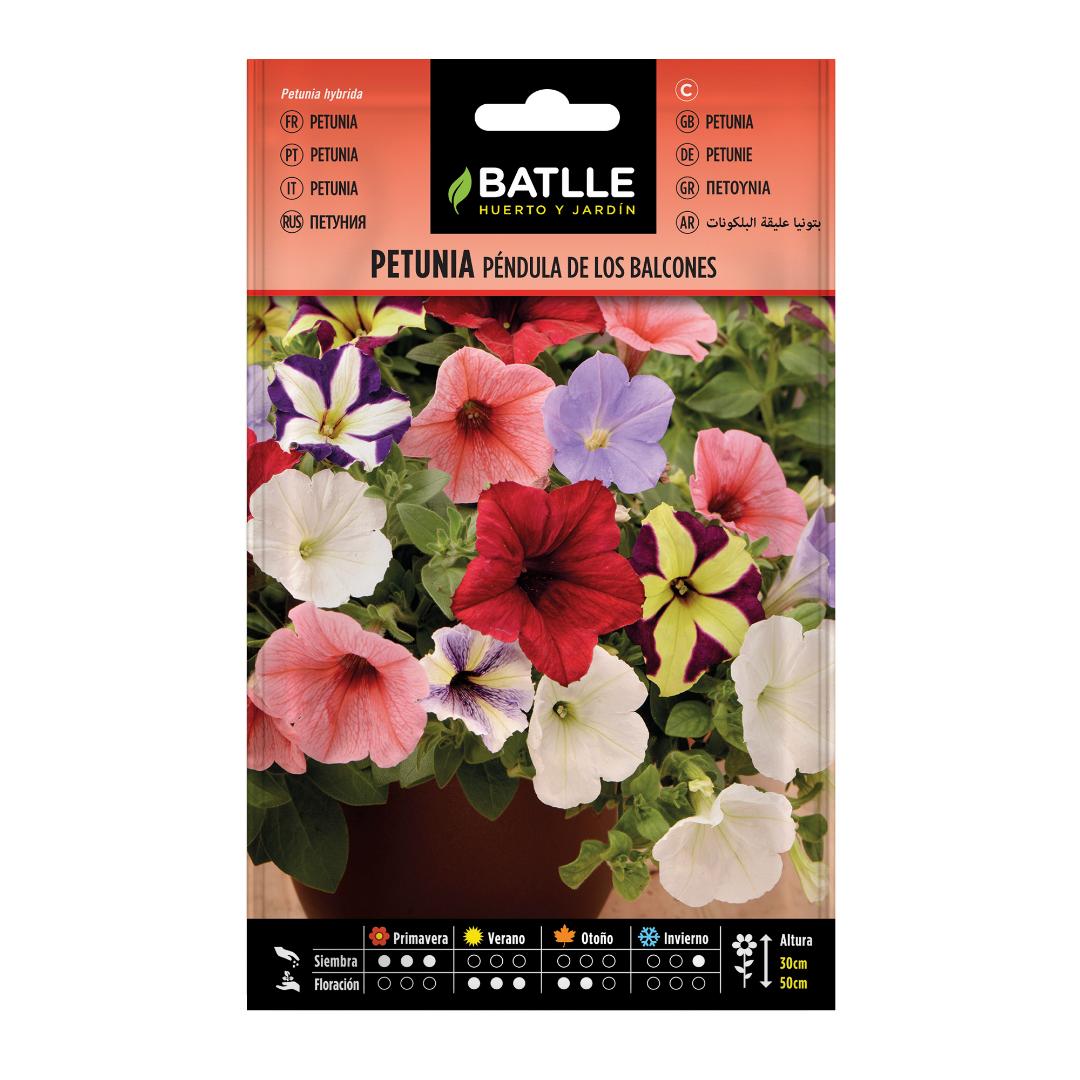 Semillas de Petunia Péndula de los Balcones