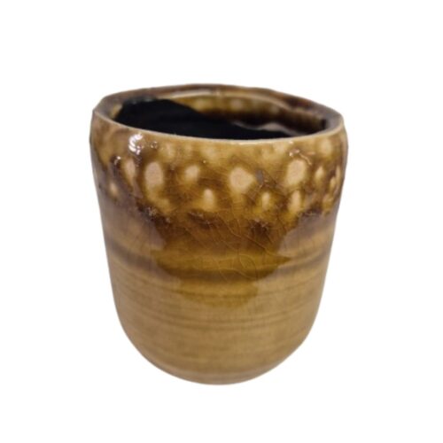 Maceta cactus Escolo mostaza ø8 x 9 cm