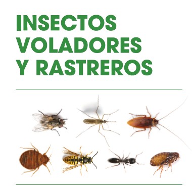 Insecticida voladores y rastreros Arpon Diazipol 1 l - Imagen 2