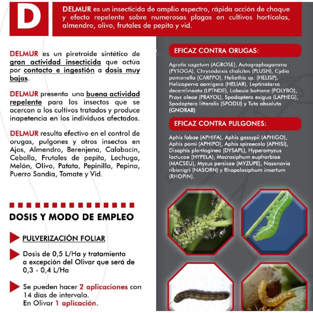 Insecticida Delmur 10 ml - Imagen 2