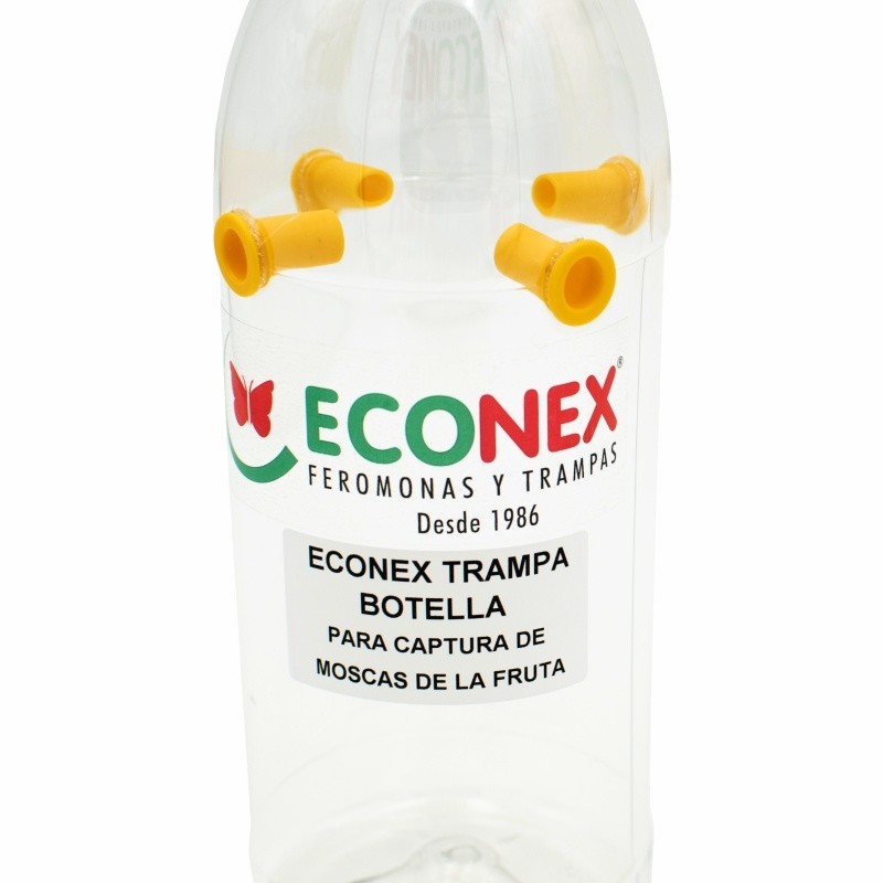 Trampa botella para capturas - Imagen 2