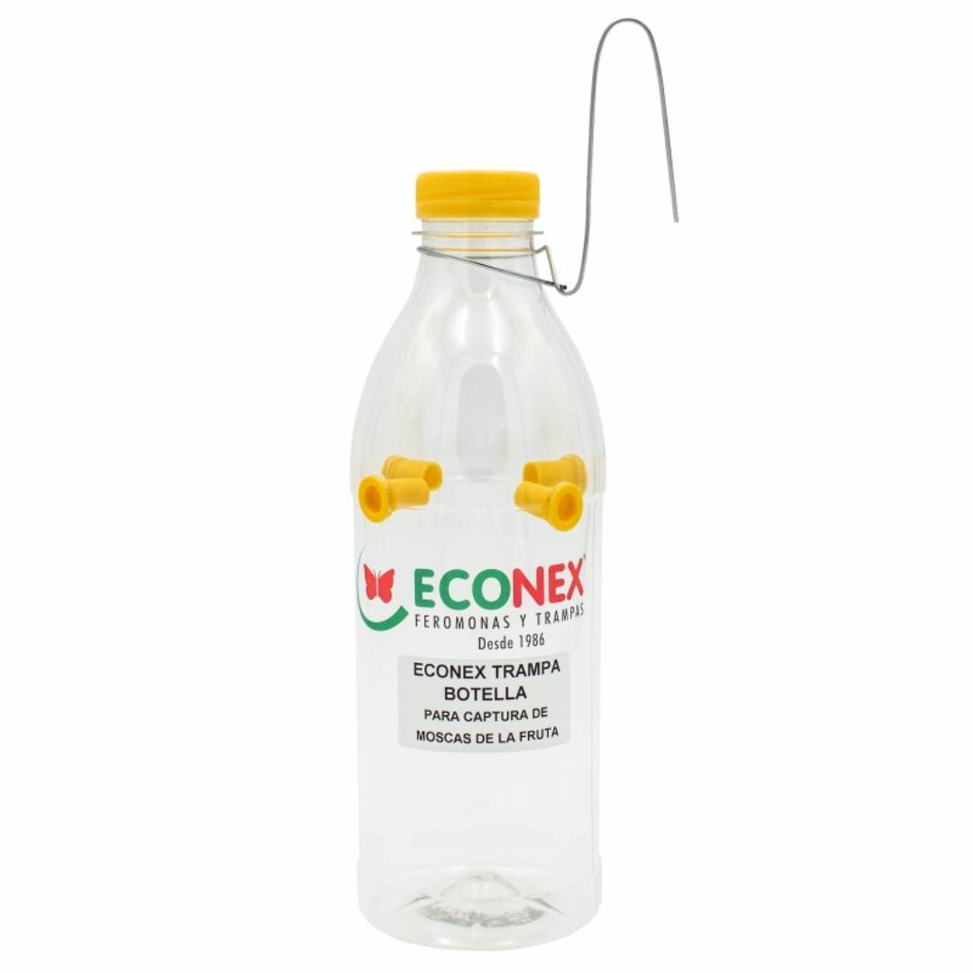 Trampa botella para capturas