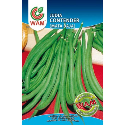 Semillas de Judía enana Contender 100 g