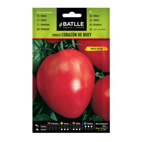 Semillas de Tomate Corazón de Buey