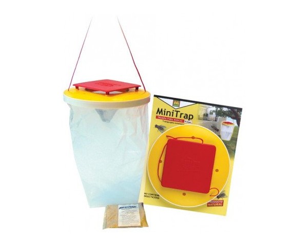 Trampas moscas colgar Mini Trap Masso - Imagen 2
