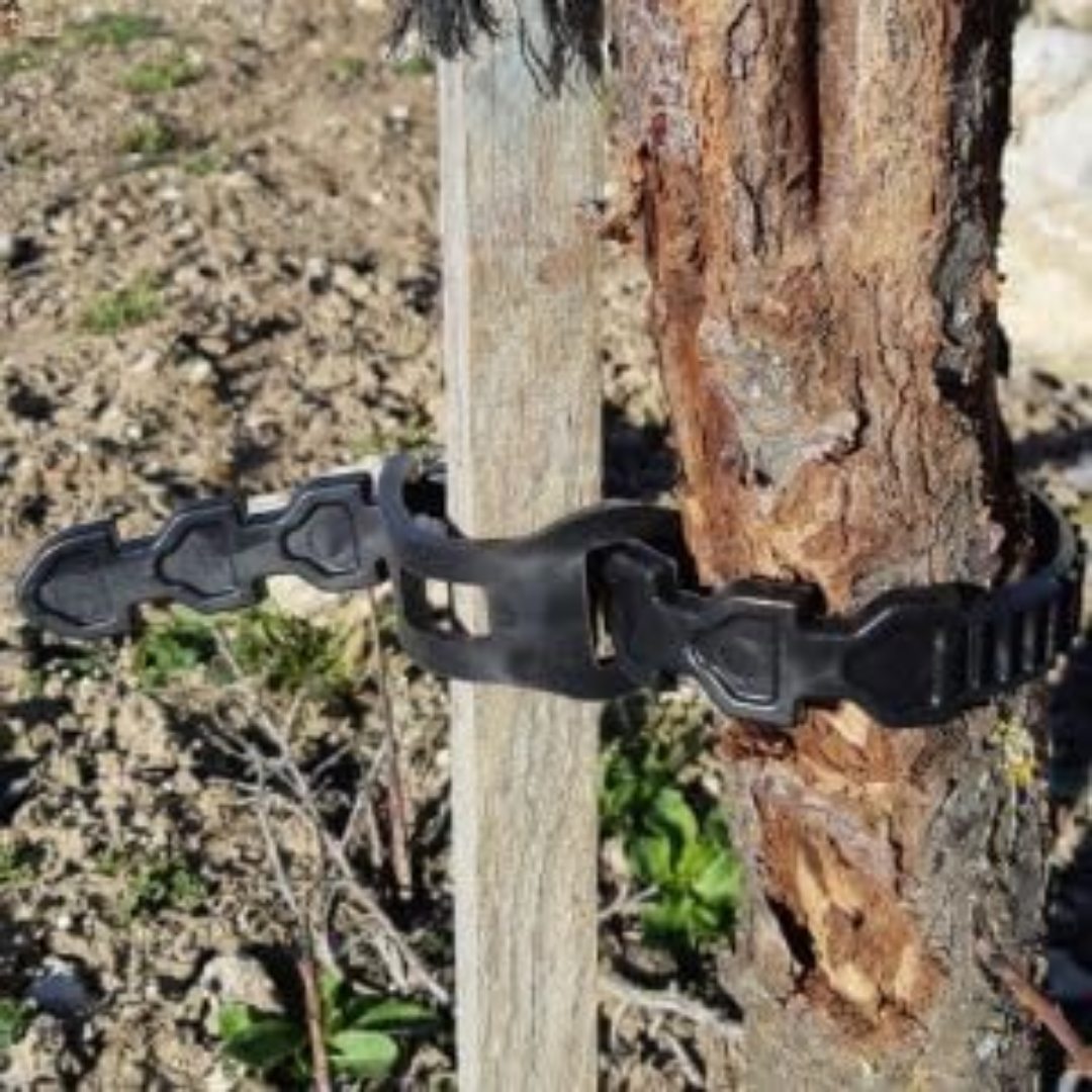 Correa dentada para sujeción 60 cm x 22mm - Imagen 4