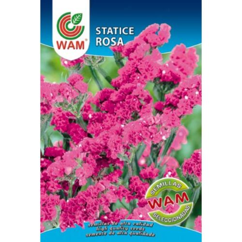 Semillas de Statice rosa
