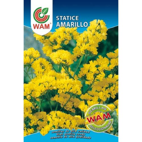 Semillas de Statice amarillo