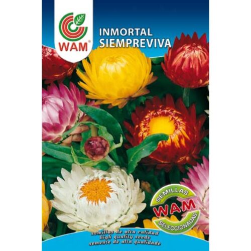 Semillas de Siempreviva Inmortal