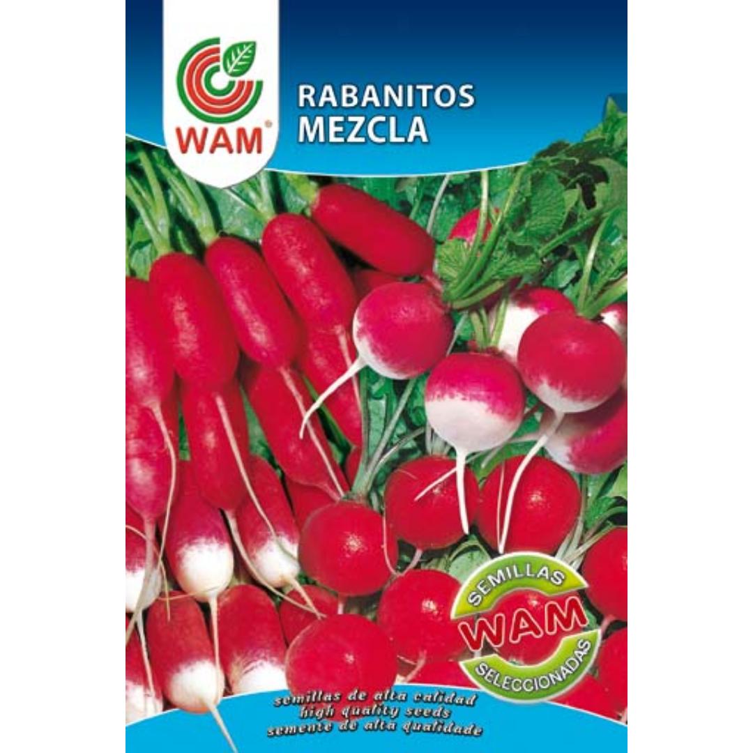 Semillas de Rabanitos mezcla