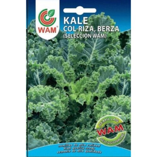 Semillas de Berza col kale rizada