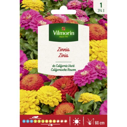 Semillas de Zinnia de California variada