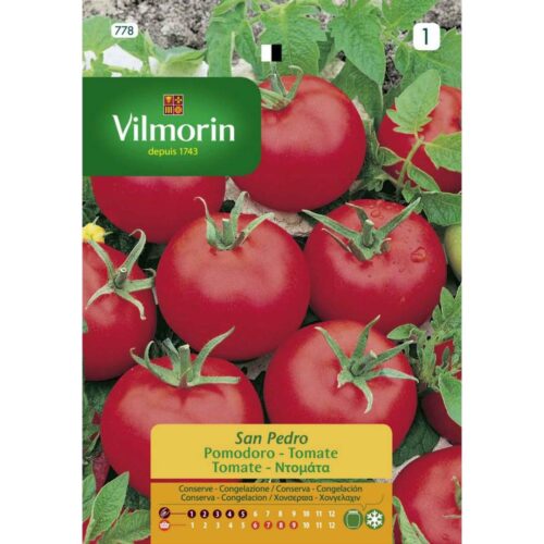 Semillas de Tomate San Pedro