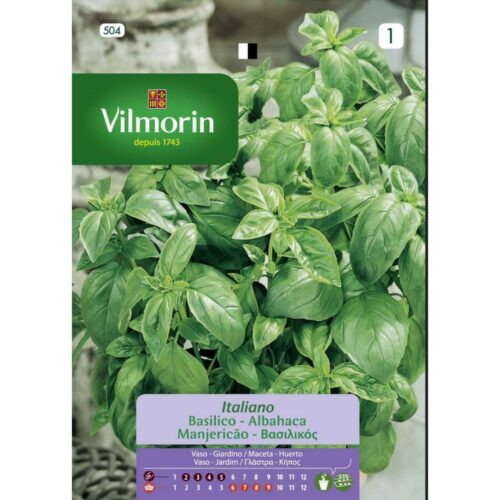 Semillas de Albahaca Genovesa