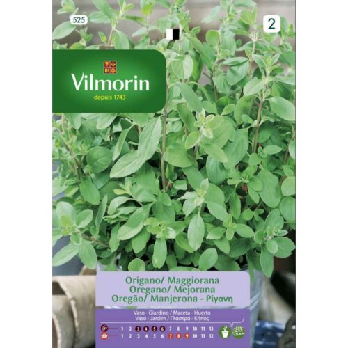 Semillas de Orégano común