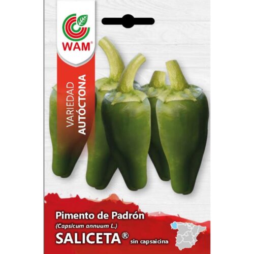 Semillas de Pimiento de Padrón Saliceta no picante