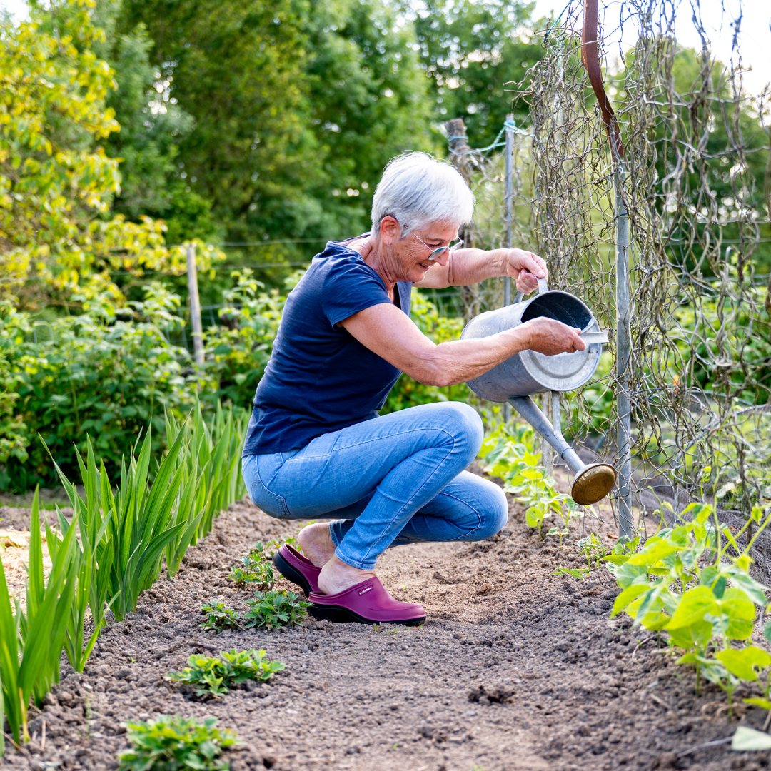 Zueco Blackfox Mellow frambuesa - Imagen 6