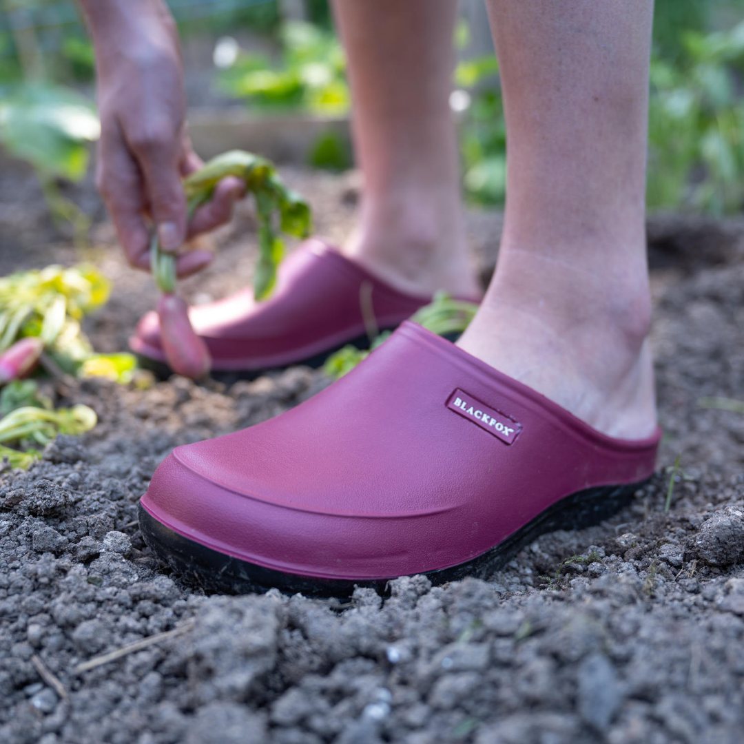 Zueco Blackfox Mellow frambuesa - Imagen 7