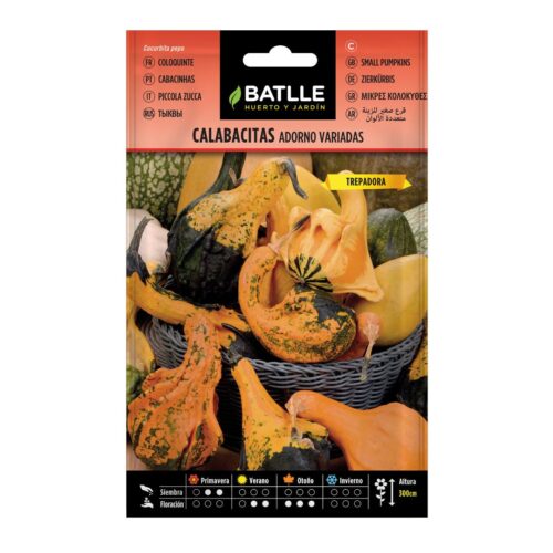 Semillas de Calabacitas adorno variadas