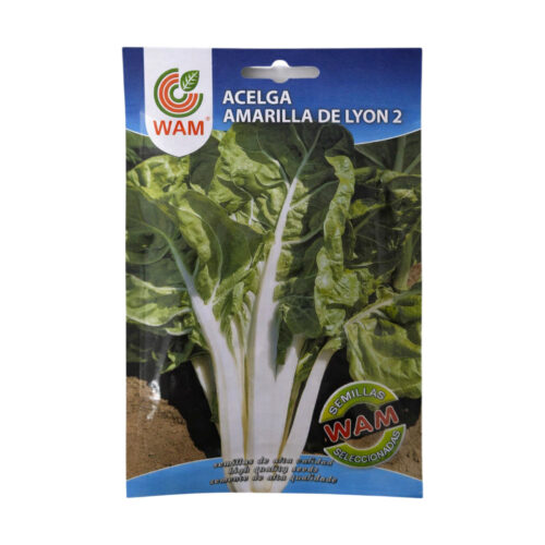 Semillas de Acelga amarilla de Lyon 2