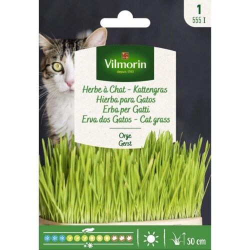 Semillas de Hierba para gatos