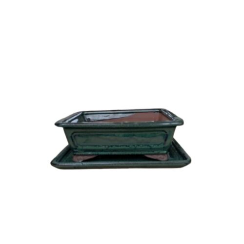 Maceta Bonsai rectangular plato 20 cm